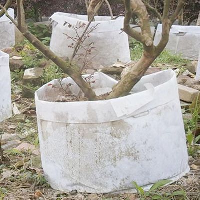 Dostosuj Hot Selling włóknina Biodegradowalna torba na rośliny Oddychająca torba do uprawy drzewa flet Duża torba na przedszkole z uchwytem